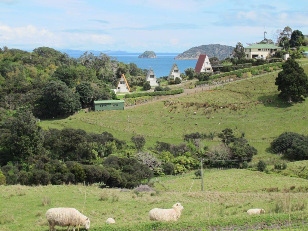 Pohutukawa Coastal Chalets Coromandel ภายนอก รูปภาพ