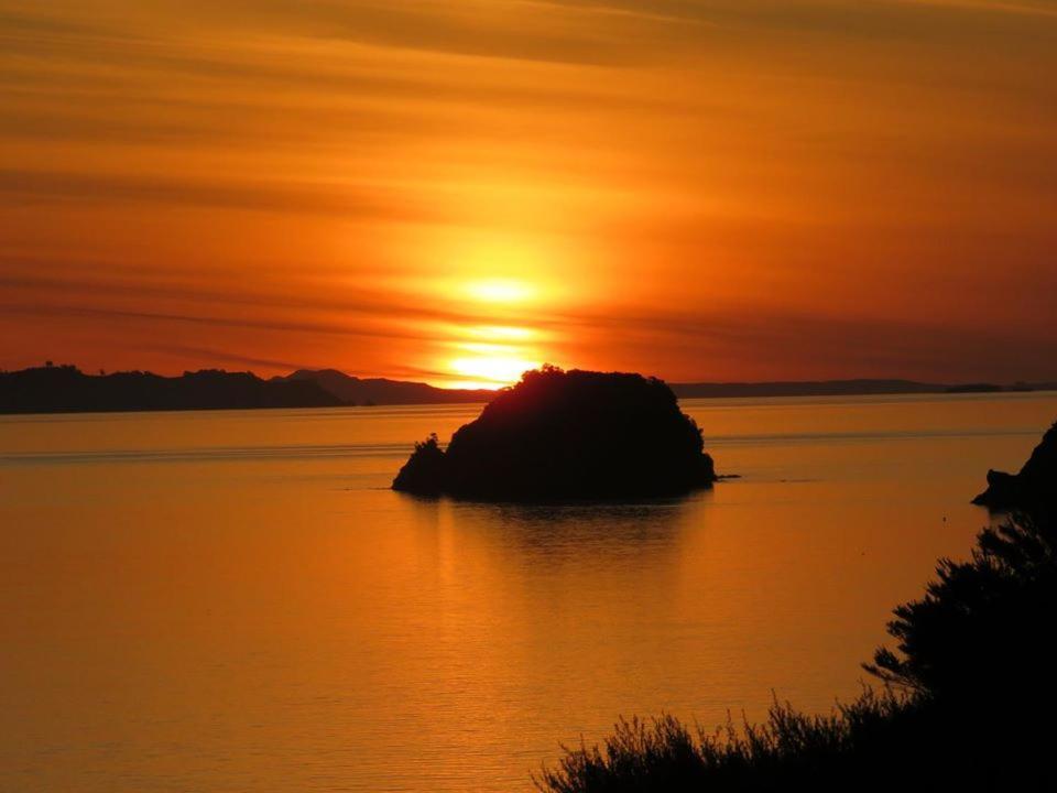 Pohutukawa Coastal Chalets Coromandel ภายนอก รูปภาพ